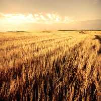 خرید و دانلود عکس IranBCS کد 27528 | پیک فاکس | Pic Fox