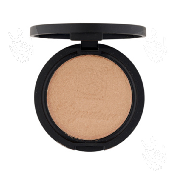 هایلایتر سیگنیچر کد 105