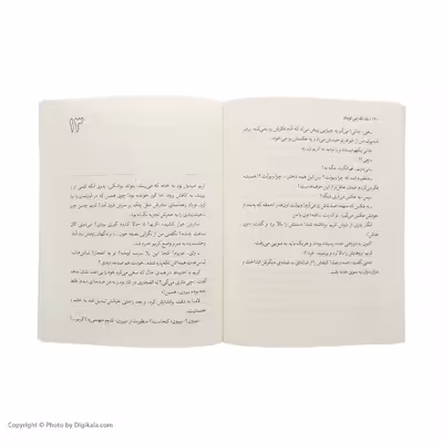 کتاب یک تکه زمین کوچک اثر الیزابت لرد نشر افق