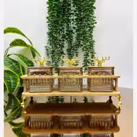 اردوخوری  النا 3 خانه