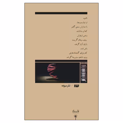 کتاب طاق‌های ضربی مغول‌ها اثر فرشته احمدی بختیاری انتشارات سیزده