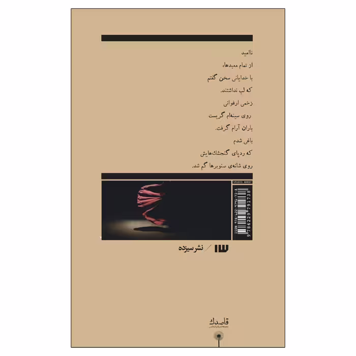 کتاب طاق‌های ضربی مغول‌ها اثر فرشته احمدی بختیاری انتشارات سیزده