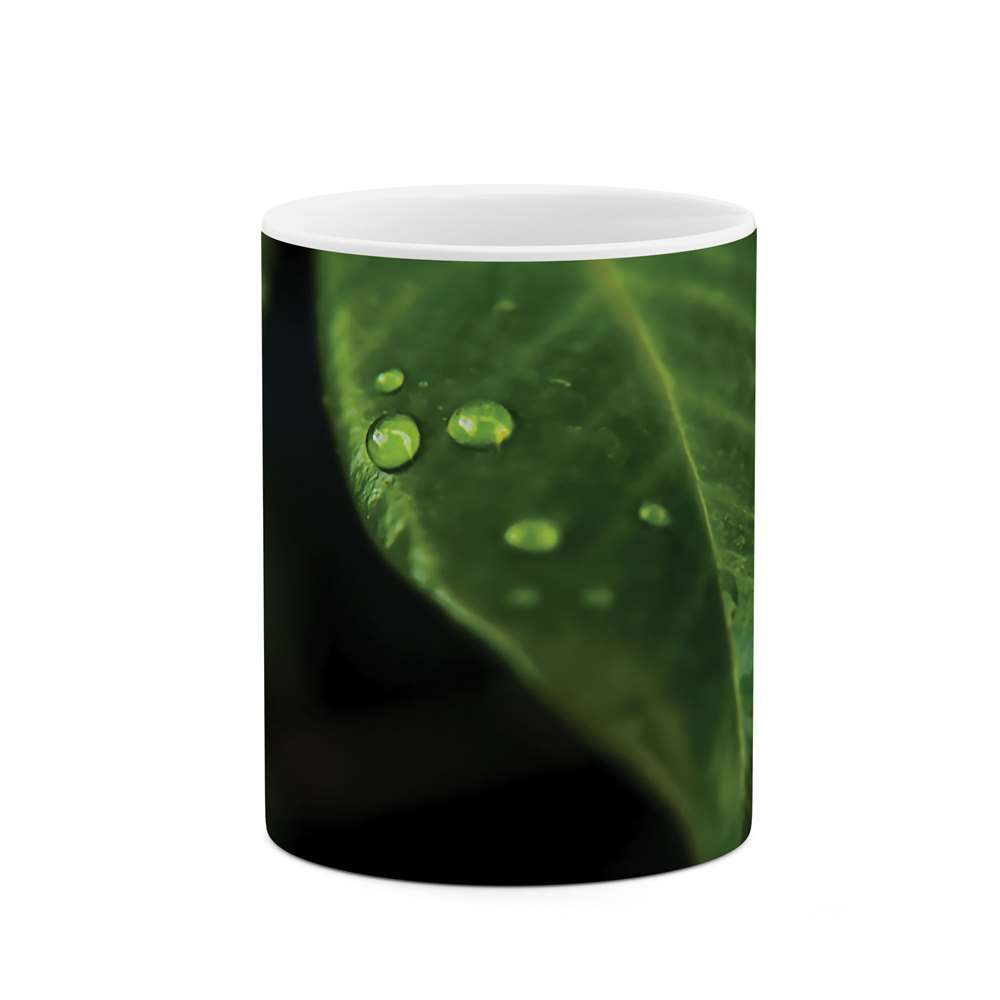 ماگ طرح قطره روی برگ مدل mgs07760