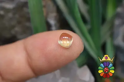 هلیدور (بریل طلایی)