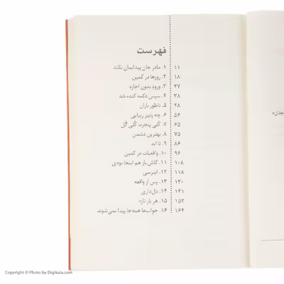 کتاب آنجا که دیگر دلیلی نیست اثر یی یون لی نشر برج