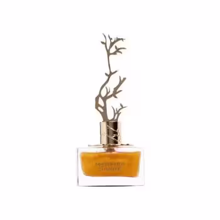 عطر لوکس Deciduous Summer برند Aurora