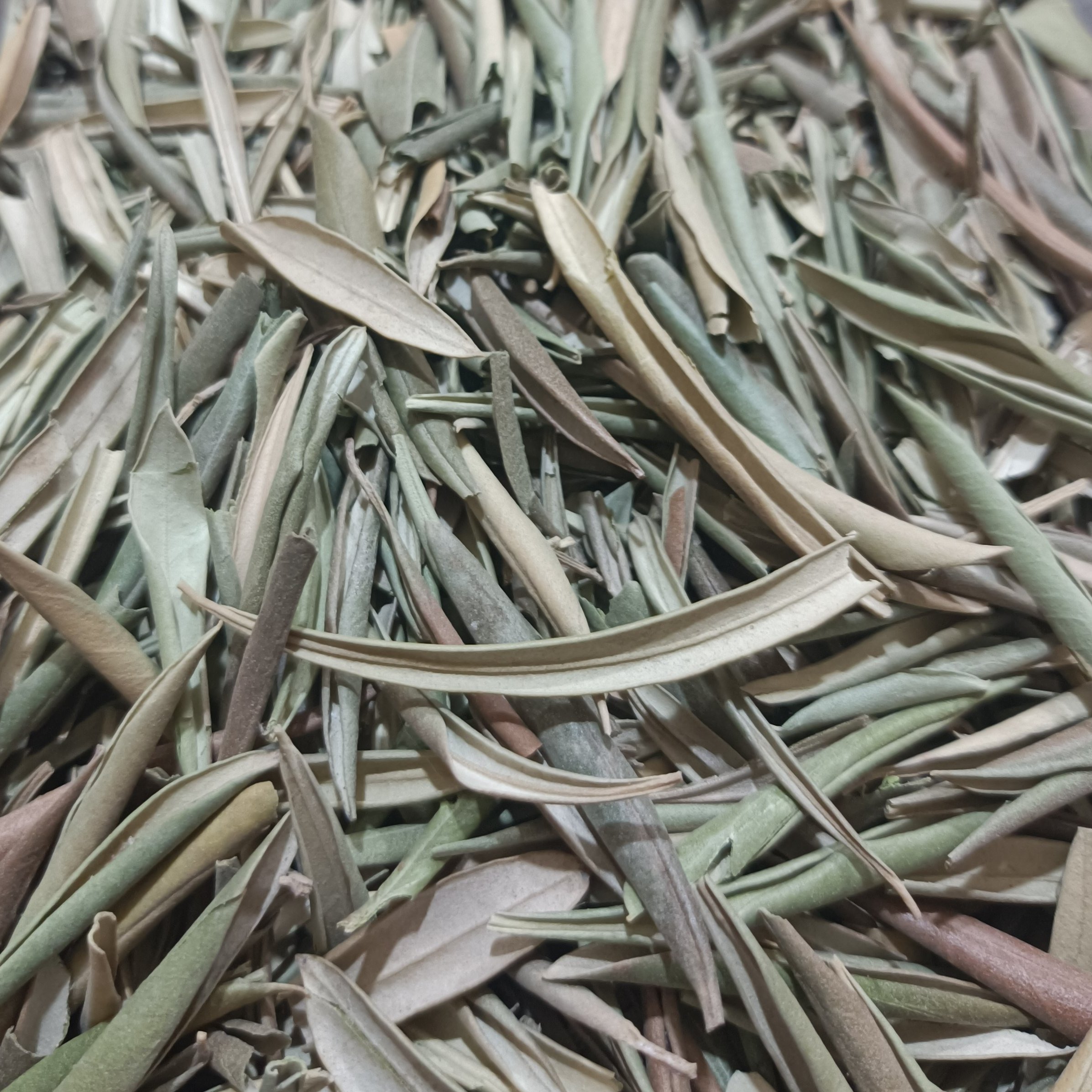 برگ زیتون خشک درجه یک اعلاء یک کیلو 