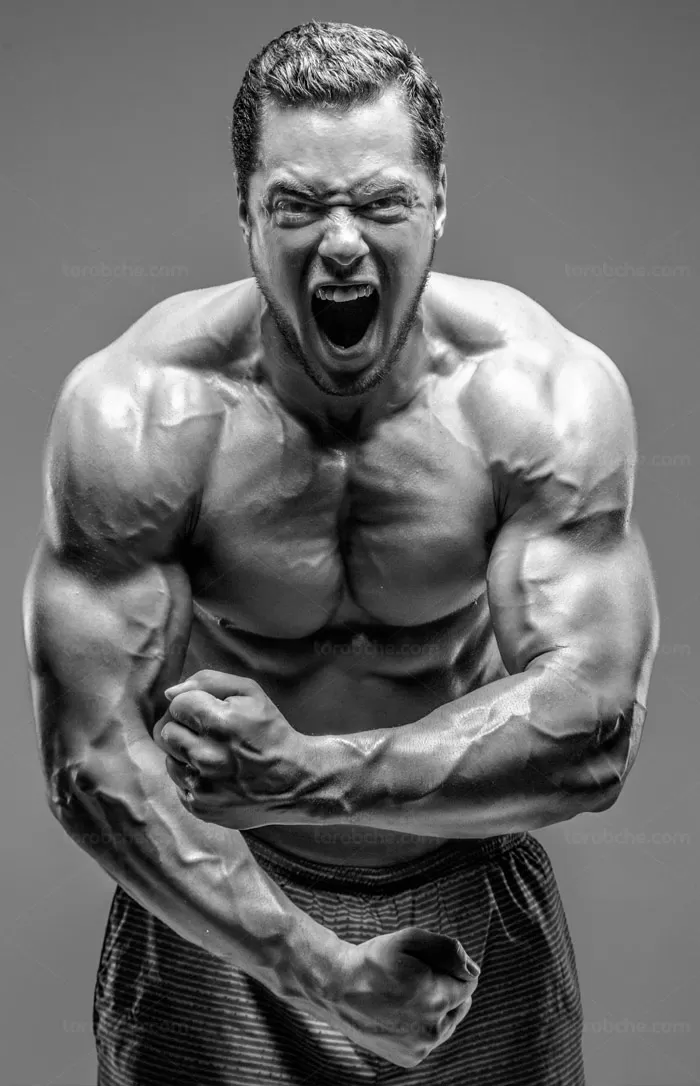عکس فیگور بدن مرد پروش اندام و بدنسازی - گرافیک با طعم تربچه