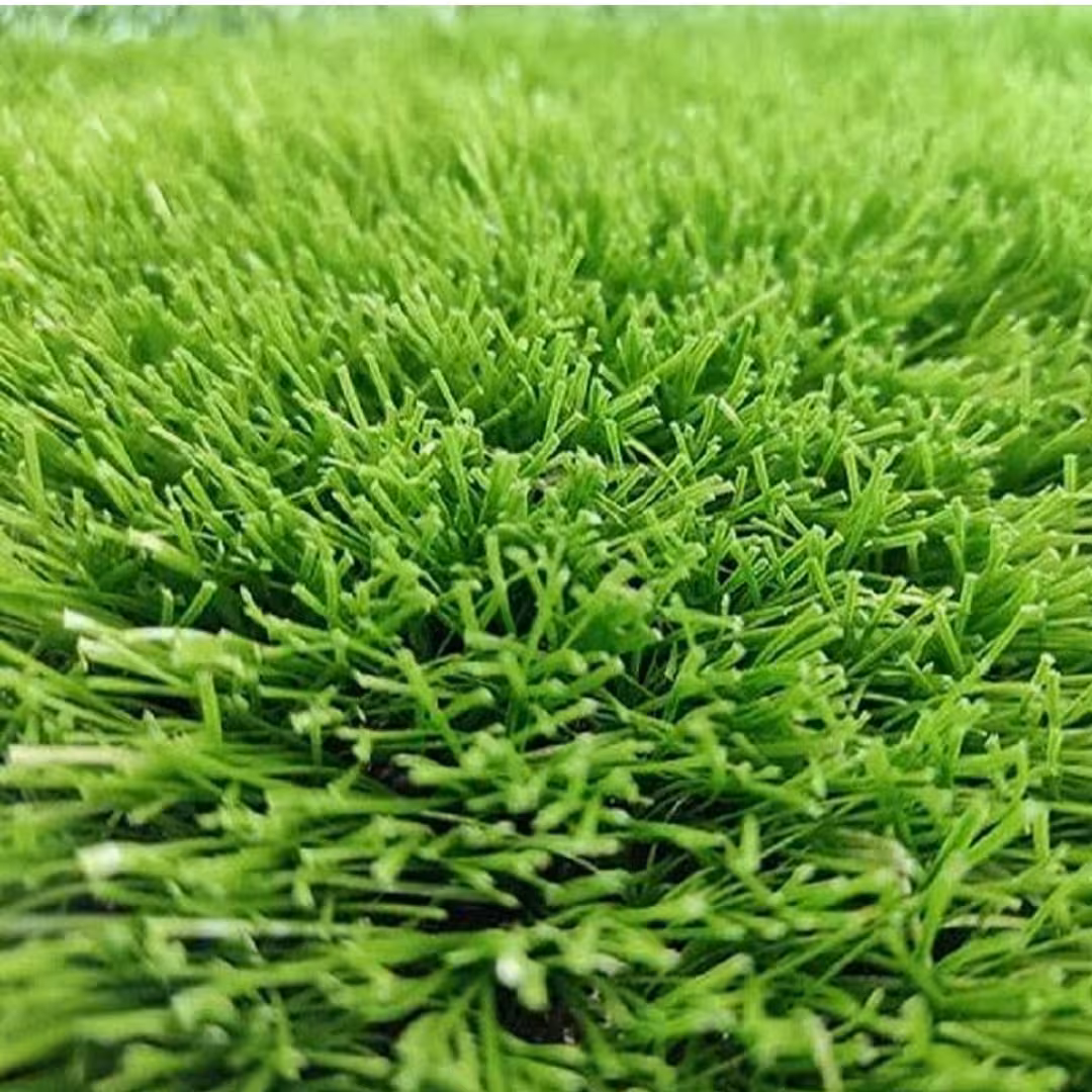چمن مصنوعی 15 میل 1 در 2 مناسب برای بالکن تراس (پس کرایه) 