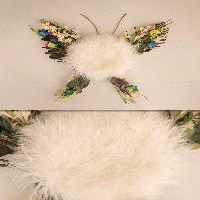 بک گراند عکاسی نوزاد پروانه ای | گرافیک با طعم تربچه