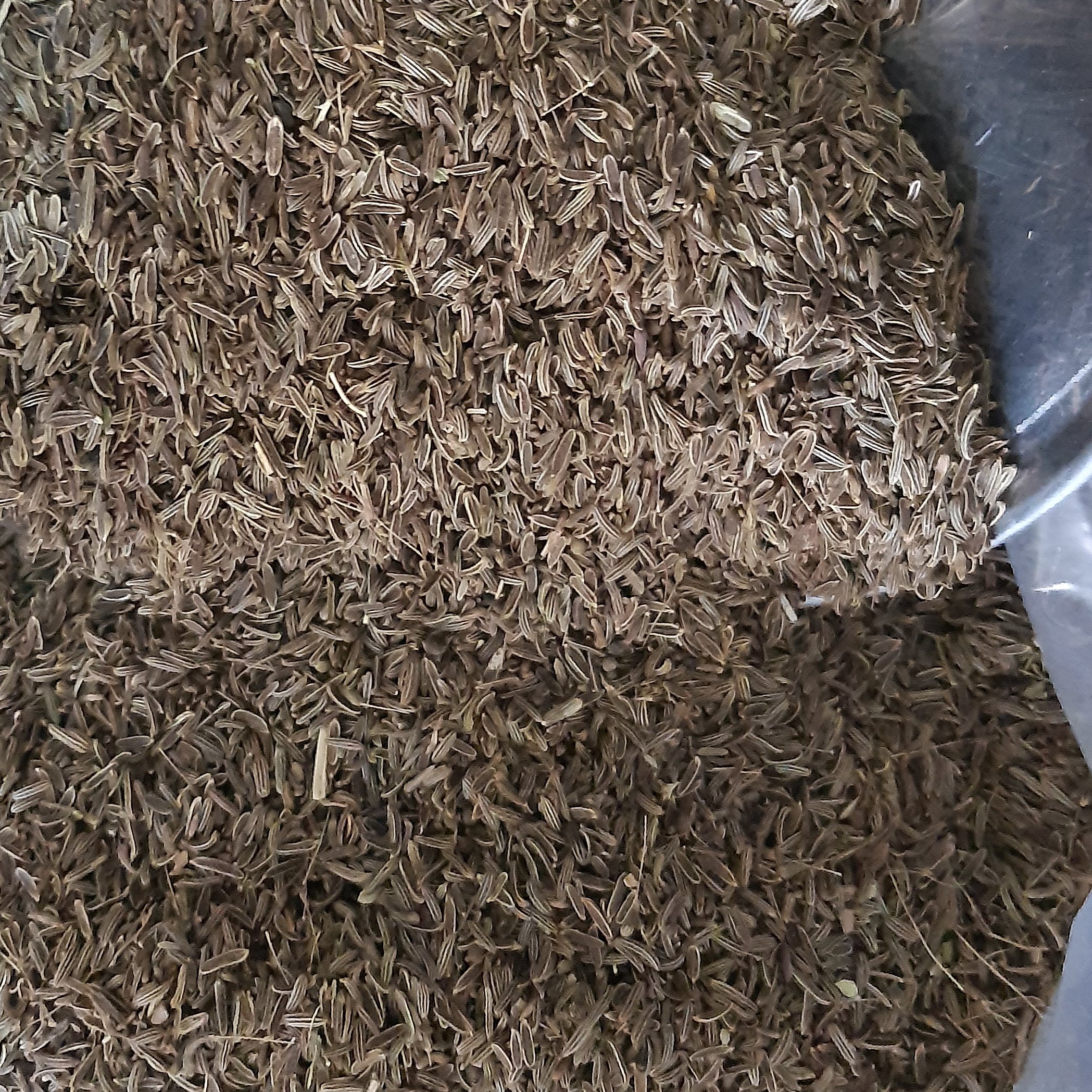 زیره سیاه افغان اعلا (10کیلویی)