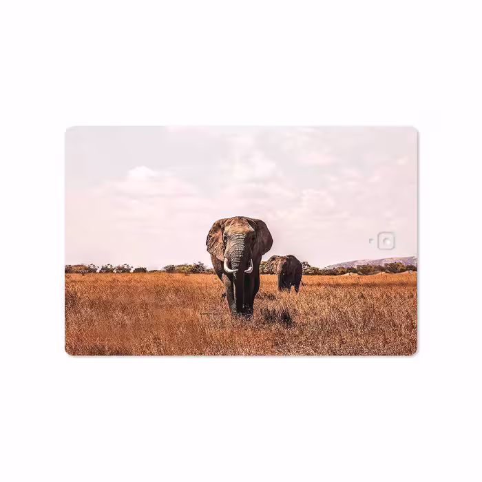 برچسب پوششی ماهوت مدل Elephant مناسب برای تبلت سامسونگ Galaxy Tab S3 9.7 2017 T825