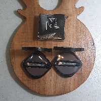 پالت سایه ابرو در دو طیف رنگی  در هر پالت و دارای دوسری رنگ بندی دارای براش مخصوص