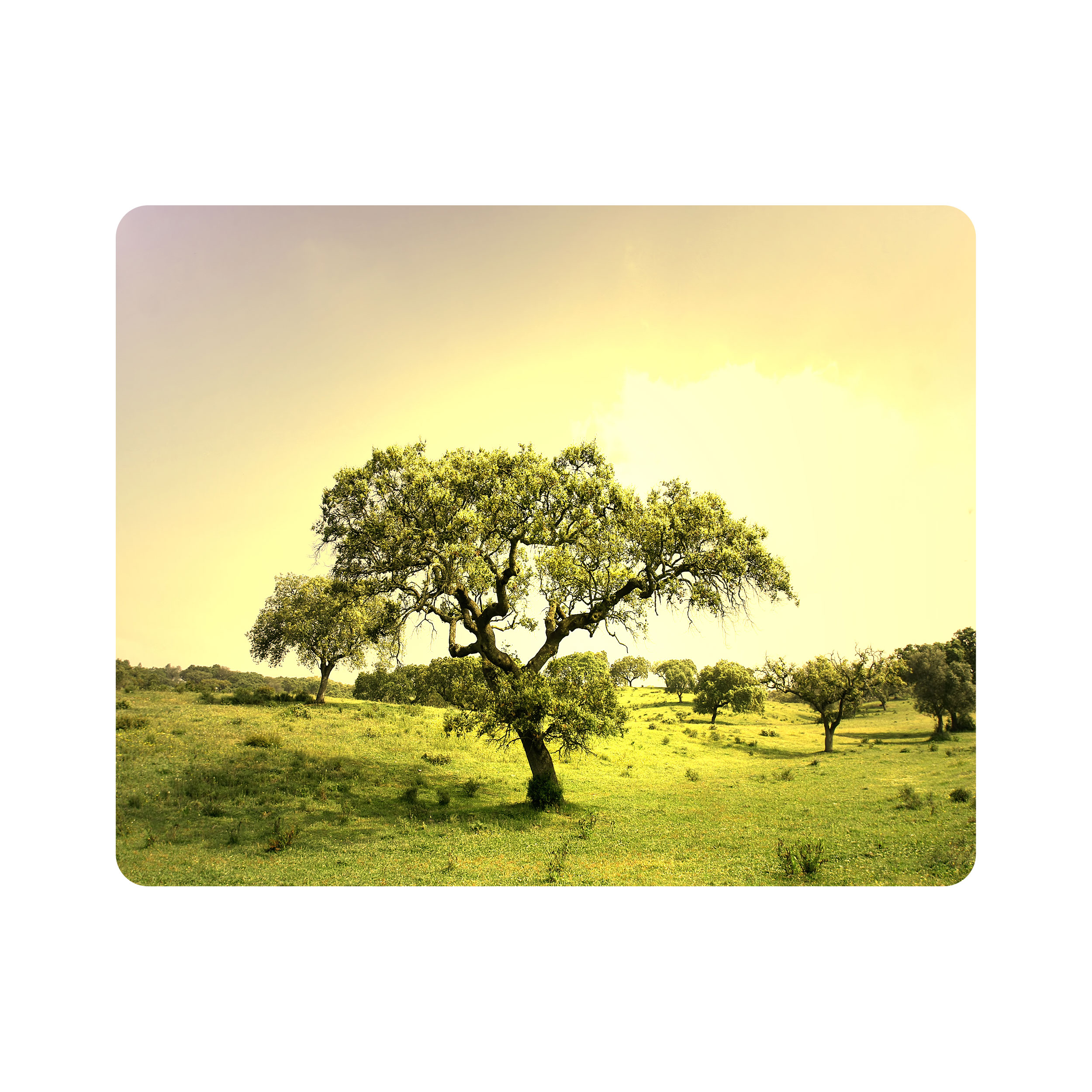 ماوس پد اطلس آبی طرح درخت مدل T7100