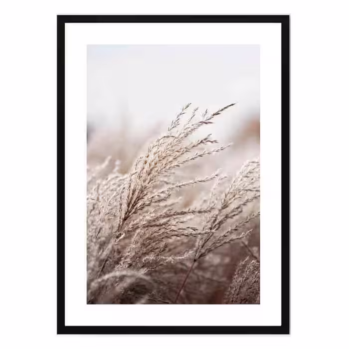 تابلو مدل Grasses in wind کد 248901899 | دنیای قاب
