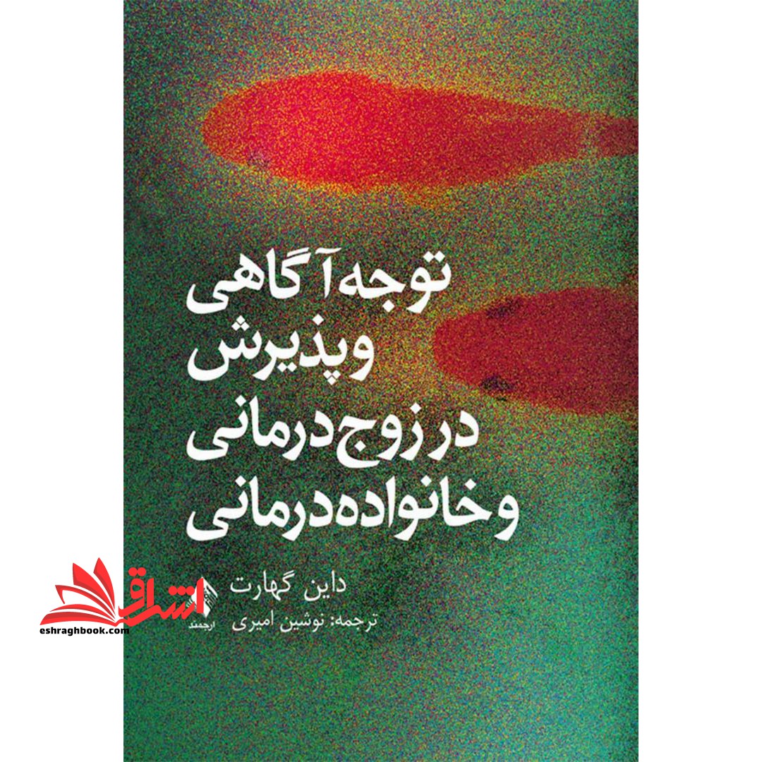 کتاب توجه آگاهی و پذیرش در زوج درمانی و خانواده درمانی - فروشگاه کتاب اشراق