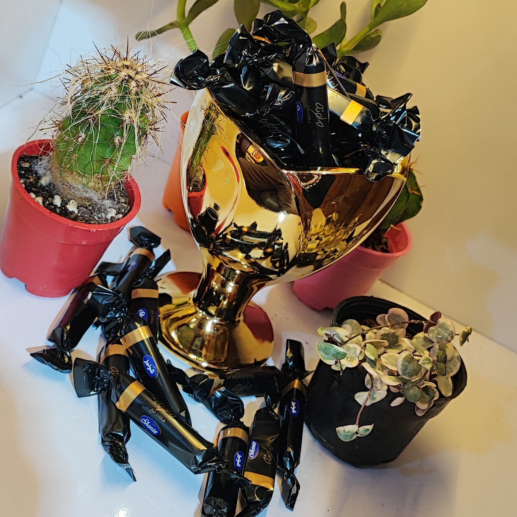 شکلات مدادی ملونه تلخ شونیز  طعمی بسیار عالی و خوشمزه 