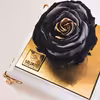 گل رز جاودان گلد رز مدل OTH133