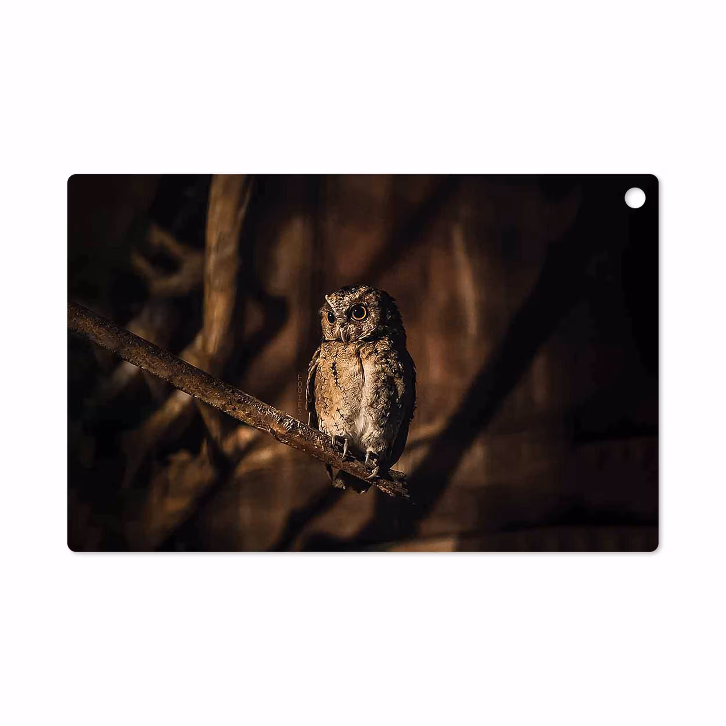 برچسب پوششی ماهوت مدل Owl مناسب برای تبلت سونی Xperia Z2 Tablet LTE 2014