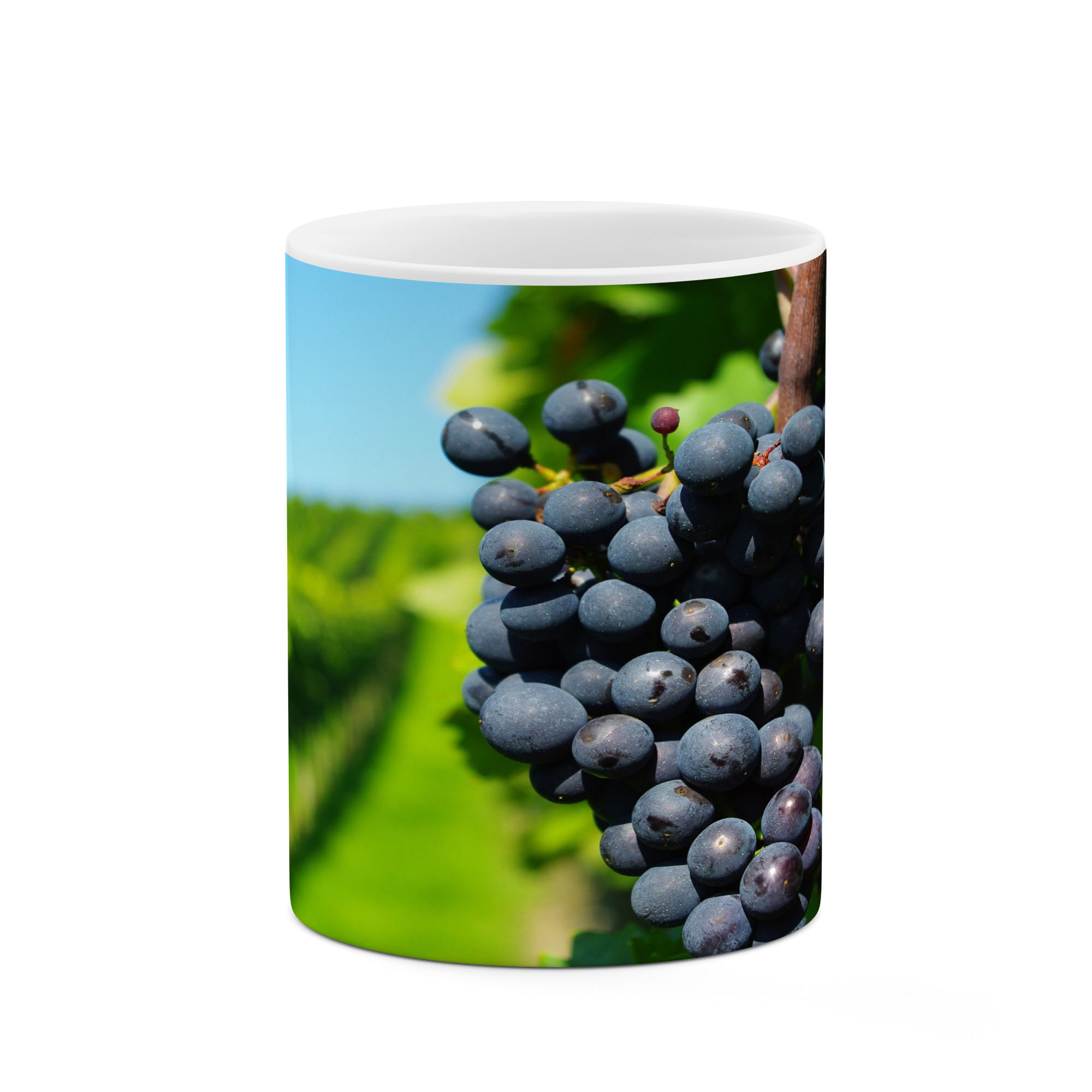 ماگ طرح بلوبری  مدل mgp11094