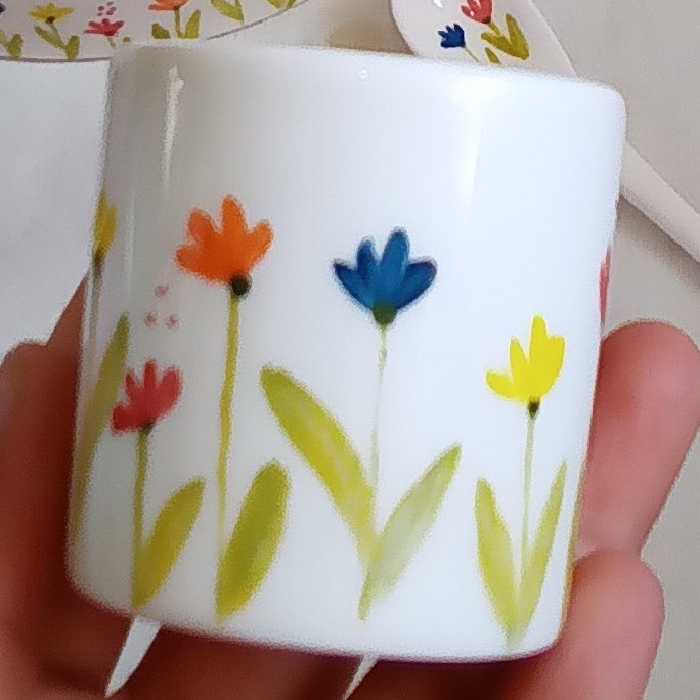 ظروف سرامیکی قهوه خوری