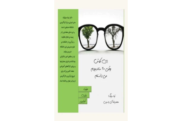 PDF کتاب اى كاش وقتى 20 سالم بود ميدانستم/نویسنده : تينا سيلينگ - کتابخانه مجازی واتیکان