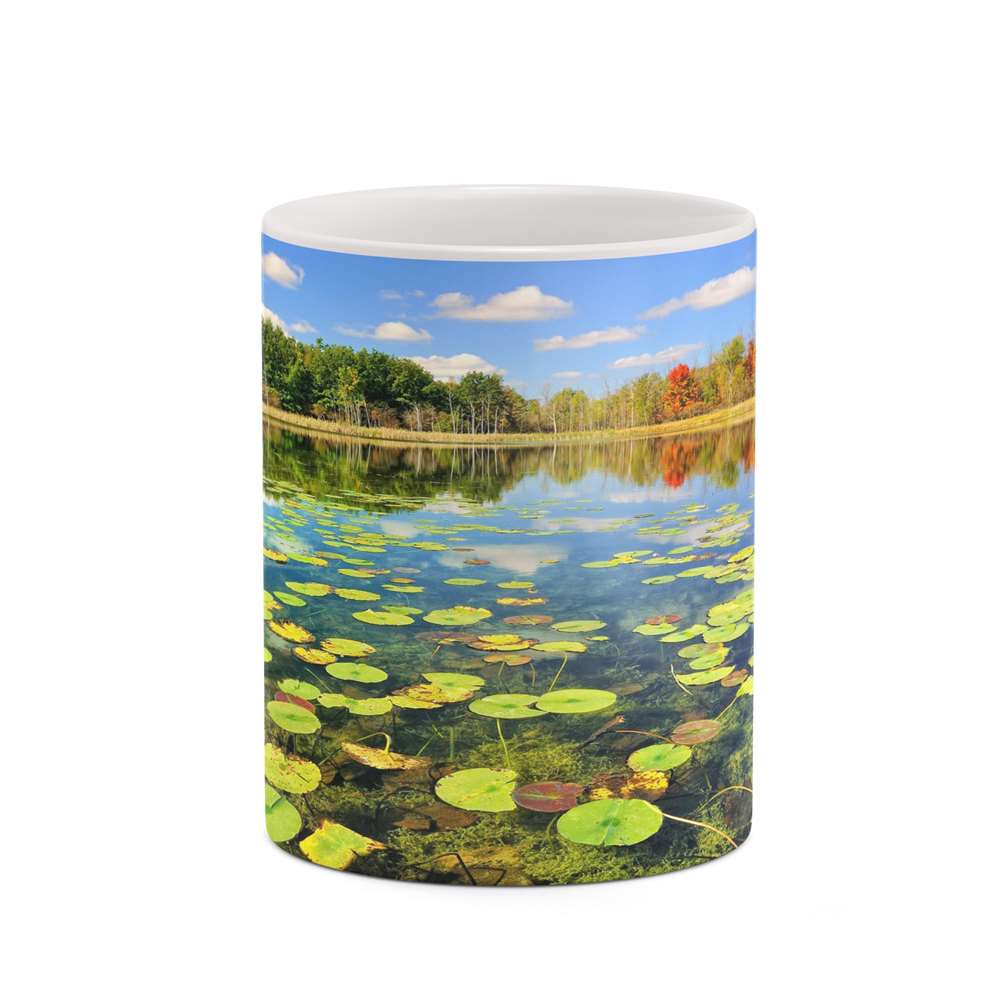 ماگ کاکتی طرح منظره مدل mgh18297