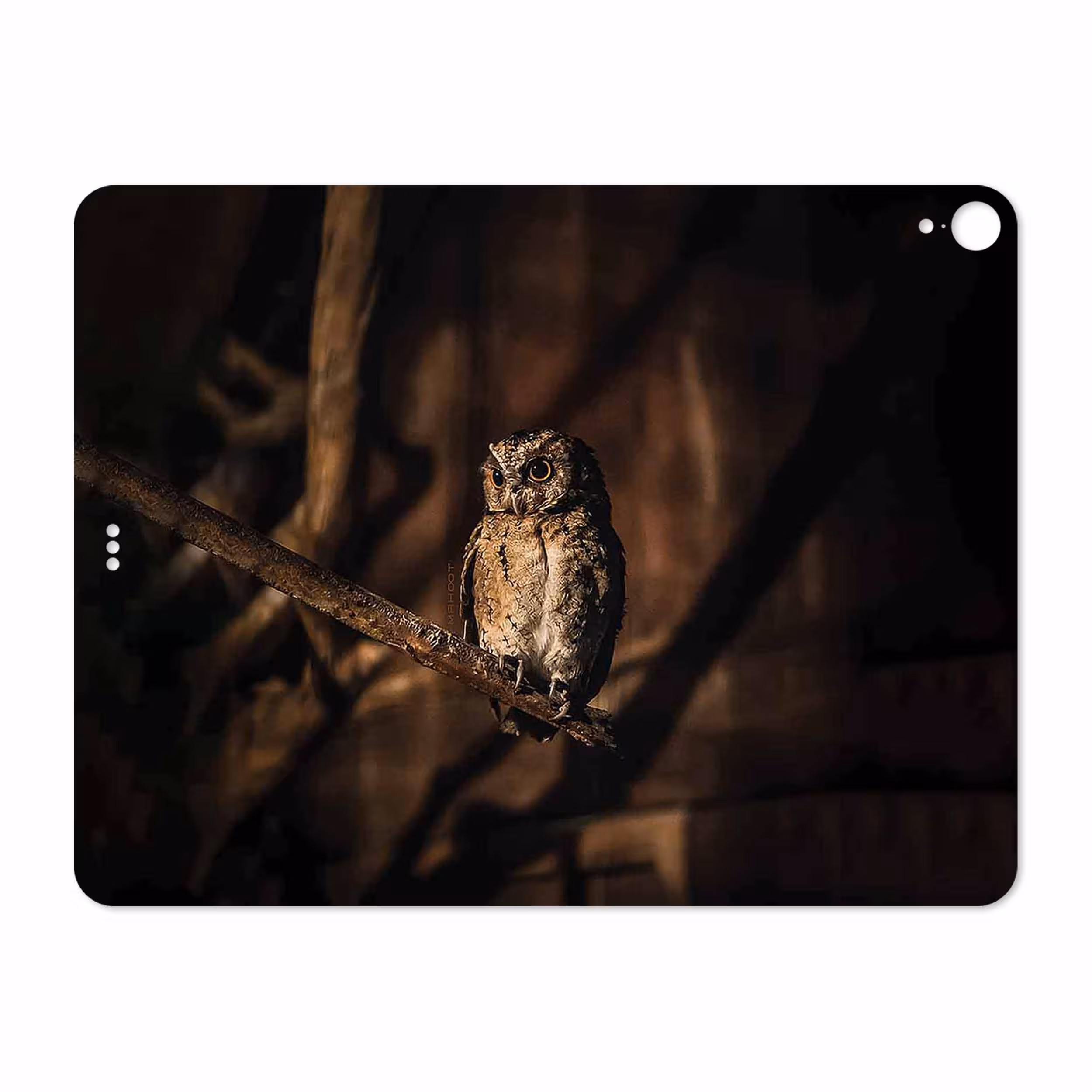 برچسب پوششی ماهوت مدل Owl مناسب برای تبلت اپل iPad Pro 12.9 (GEN 3) 2018 A1876