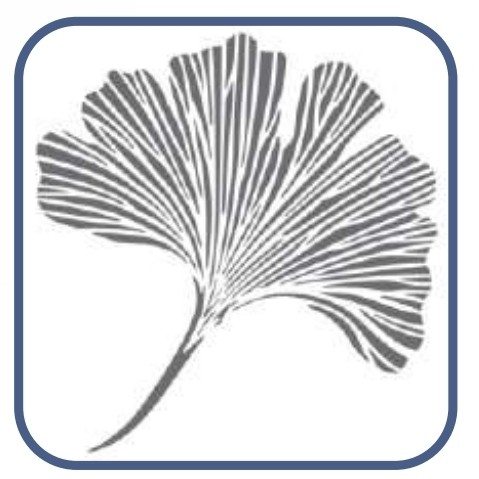 شابلون طرح گل خاص سایز 40 در 60 کد 95x