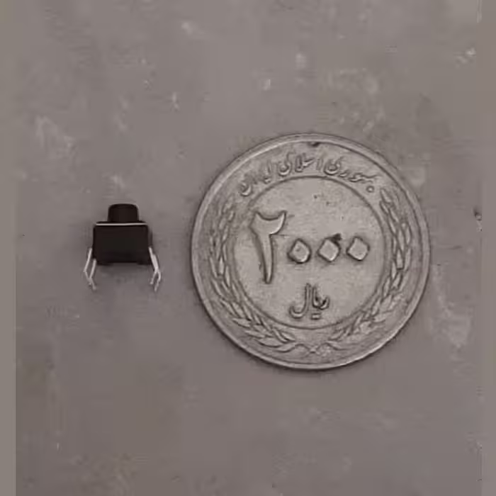 میکرو سوییچ کد 66 بسته 5 عددی