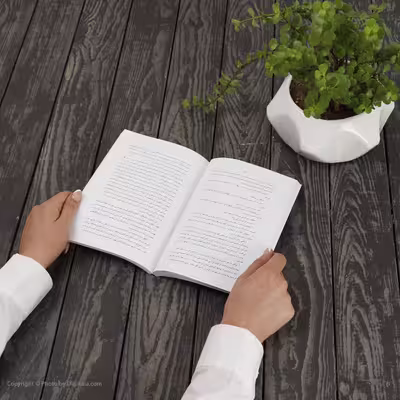 کتاب ماه و شش پنی اثر سامرست موام نشر ماهی