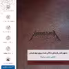برچسب پوششی ماهوت مدل NL-MTLC مناسب برای گوشی موبایل اینفینیکس Hot 11 Play