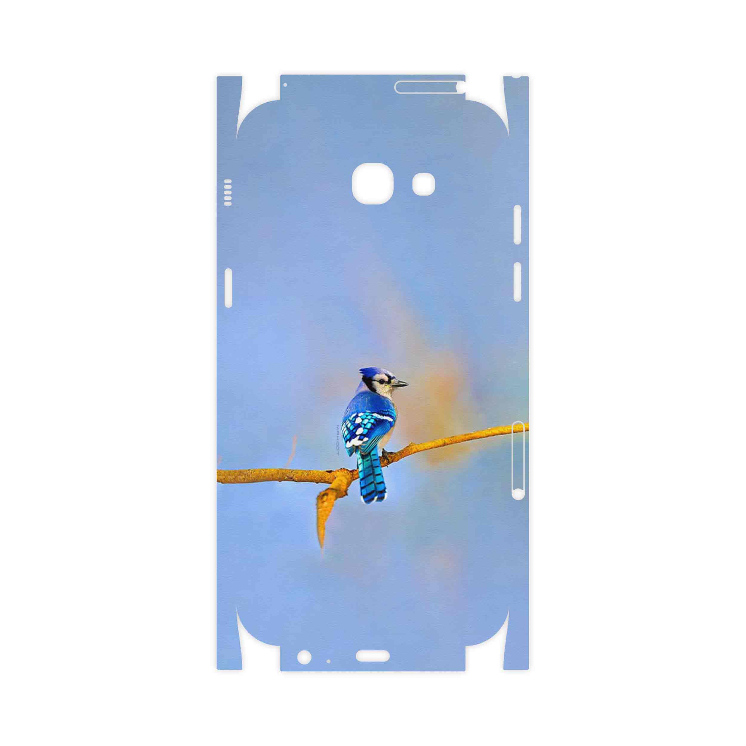 برچسب پوششی ماهوت مدل Cyanocitta cristata-FullSkin مناسب برای گوشی موبایل سامسونگ Galaxy A7 2017