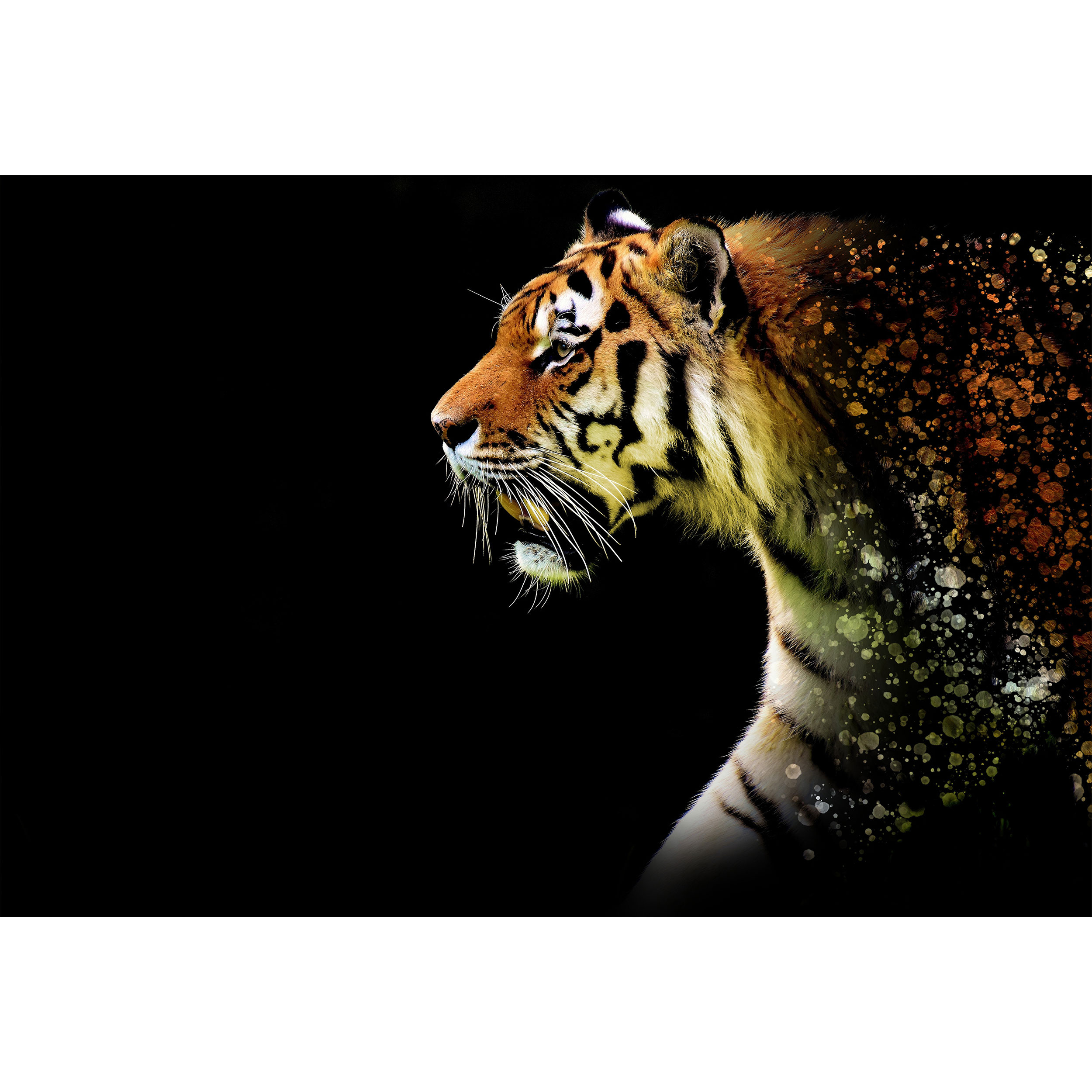 تابلو شاسی طرح ببر مدل T1692