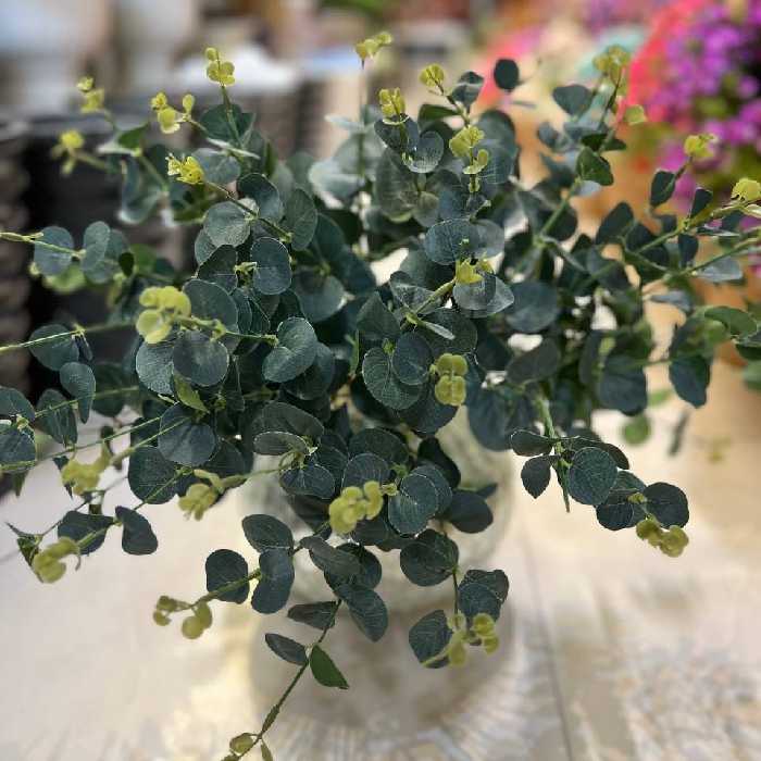 بوته برگ مصنوعی( اکالیپتوس)