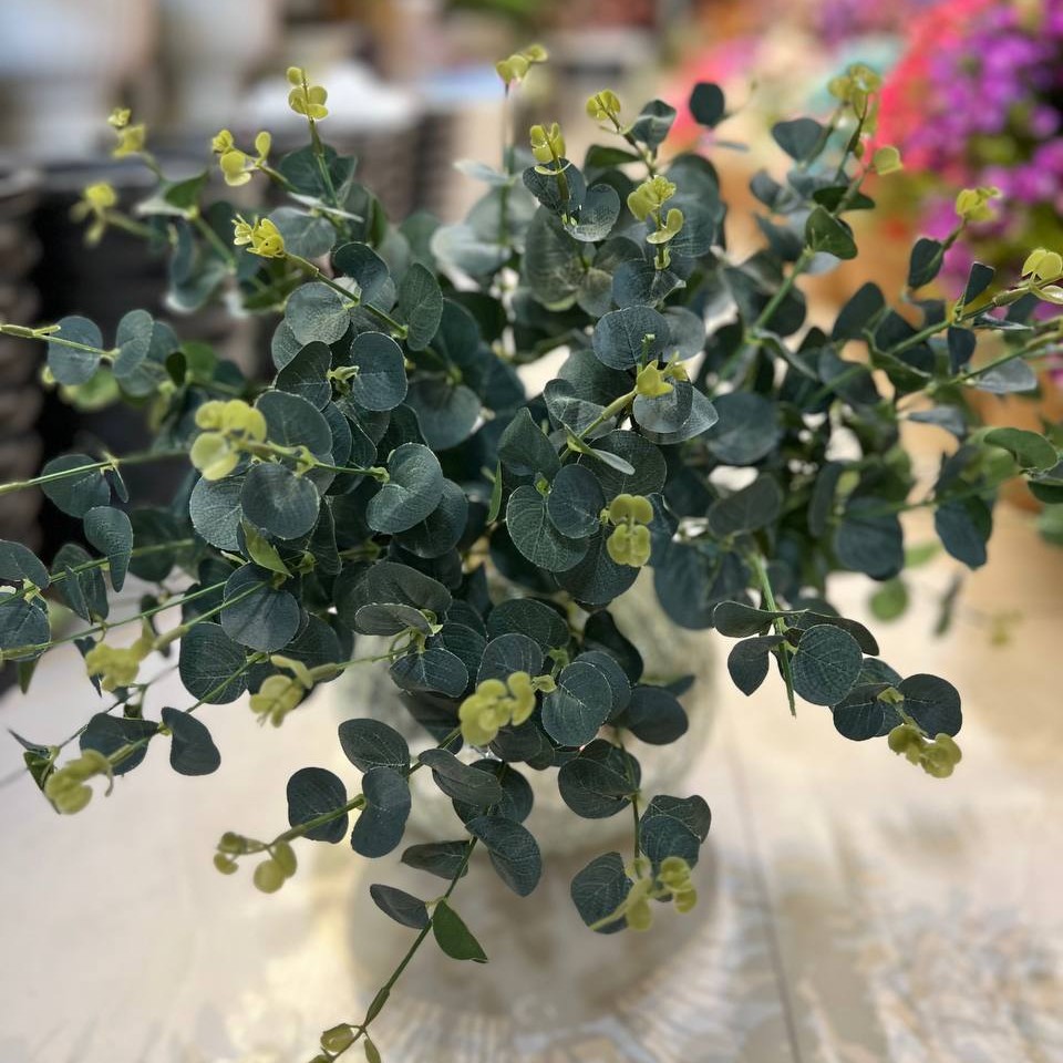 بوته برگ مصنوعی( اکالیپتوس)