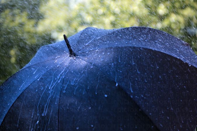 خرید و دانلود عکس Rain کد 41842 | پیک فاکس | Pic Fox