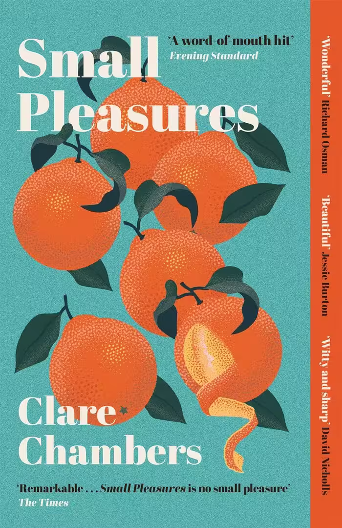 کتاب Small Pleasures: Longlisted for the Women’s Prize for Fiction (متن کامل)