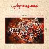 پازل 35 تکه مدل رونالدو کد 506