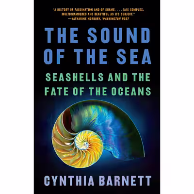 کتاب The Sound of the Sea اثر Cynthia Barnett انتشارات W. W. Norton AND Company