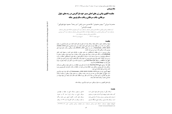 سرطان مثانه 🔬 - کتابخانه مجازی واتیکان