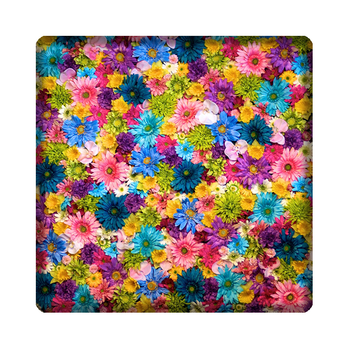 کاشی مدل گل kh10 کد 21