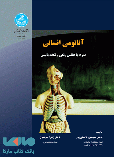 آناتومی انسانی نشر دانشگاه تهران