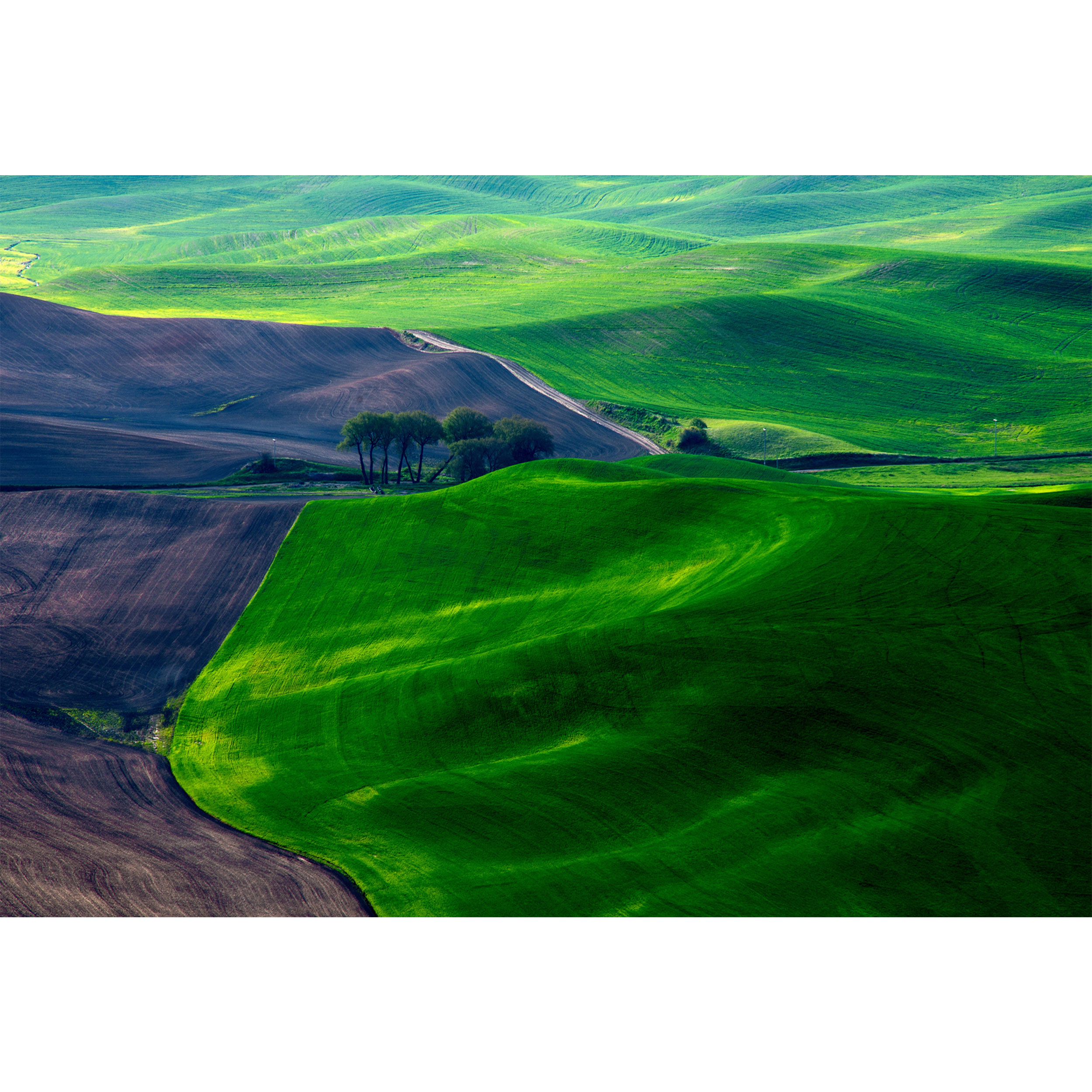 تابلو شاسی مدل دشت و درخت T7168