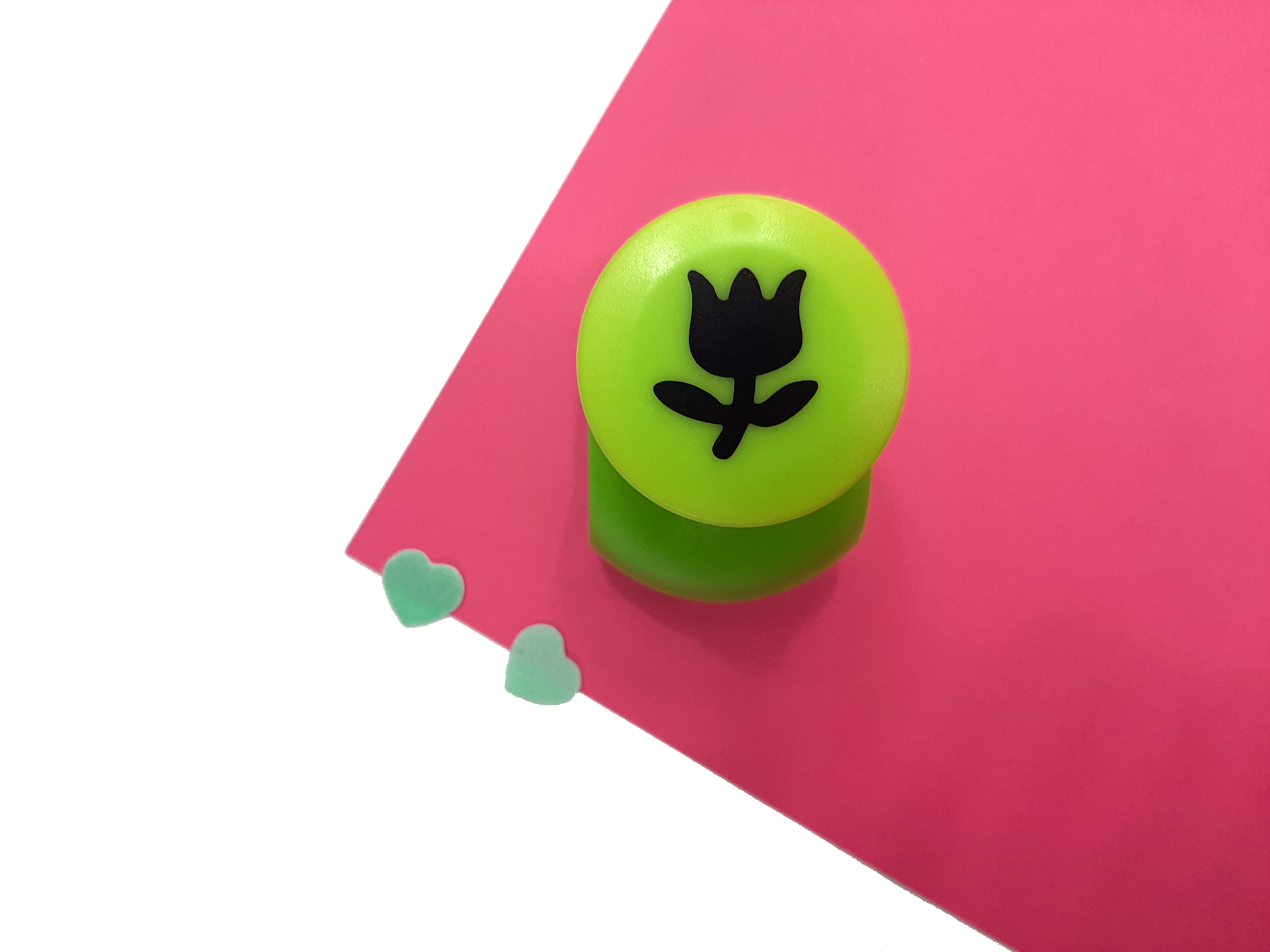 پانچ طرحدار سایز بزرگ طرح گل لاله