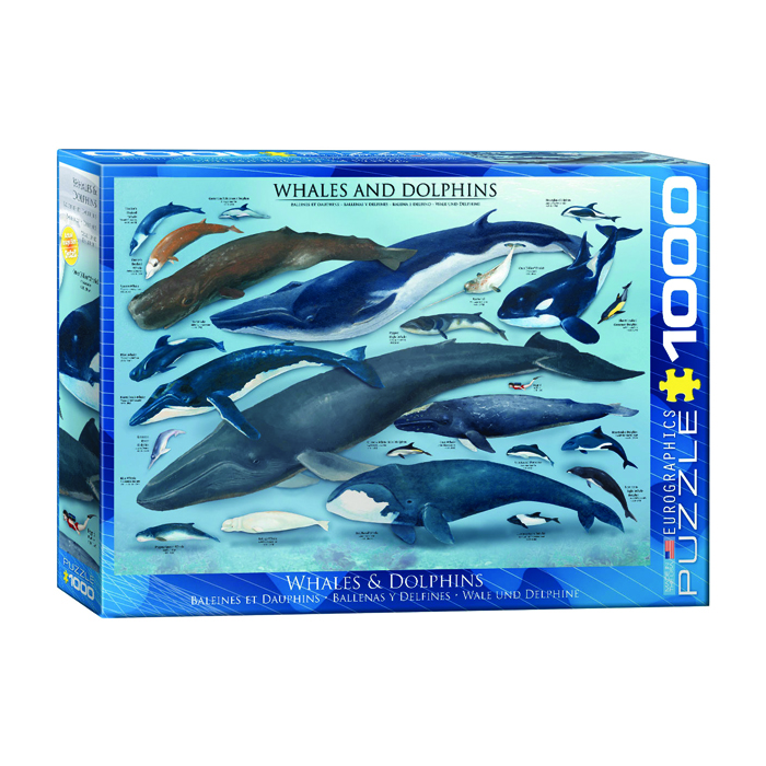 پازل 1000 تکه یوروگرافیکس پازلز مدل Whales &amp; Dolphins كد 60000082
