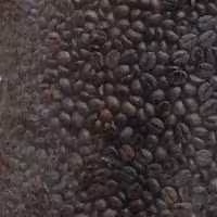 دانه قهوه پی بی