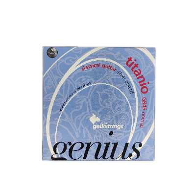 سیم گیتار گالی مدل نورمال