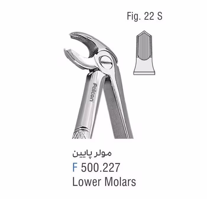 فورسپس مولر پایین fig:22 - فروشگاه تخصصی دندانپزشکی سپیرا