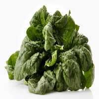 خرید و دانلود عکس Food-Part-22 کد 19911 | پیک فاکس | Pic Fox